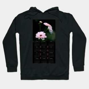 Seashell Cosmos • 2024 Year-at-a-glance Calendar Hoodie